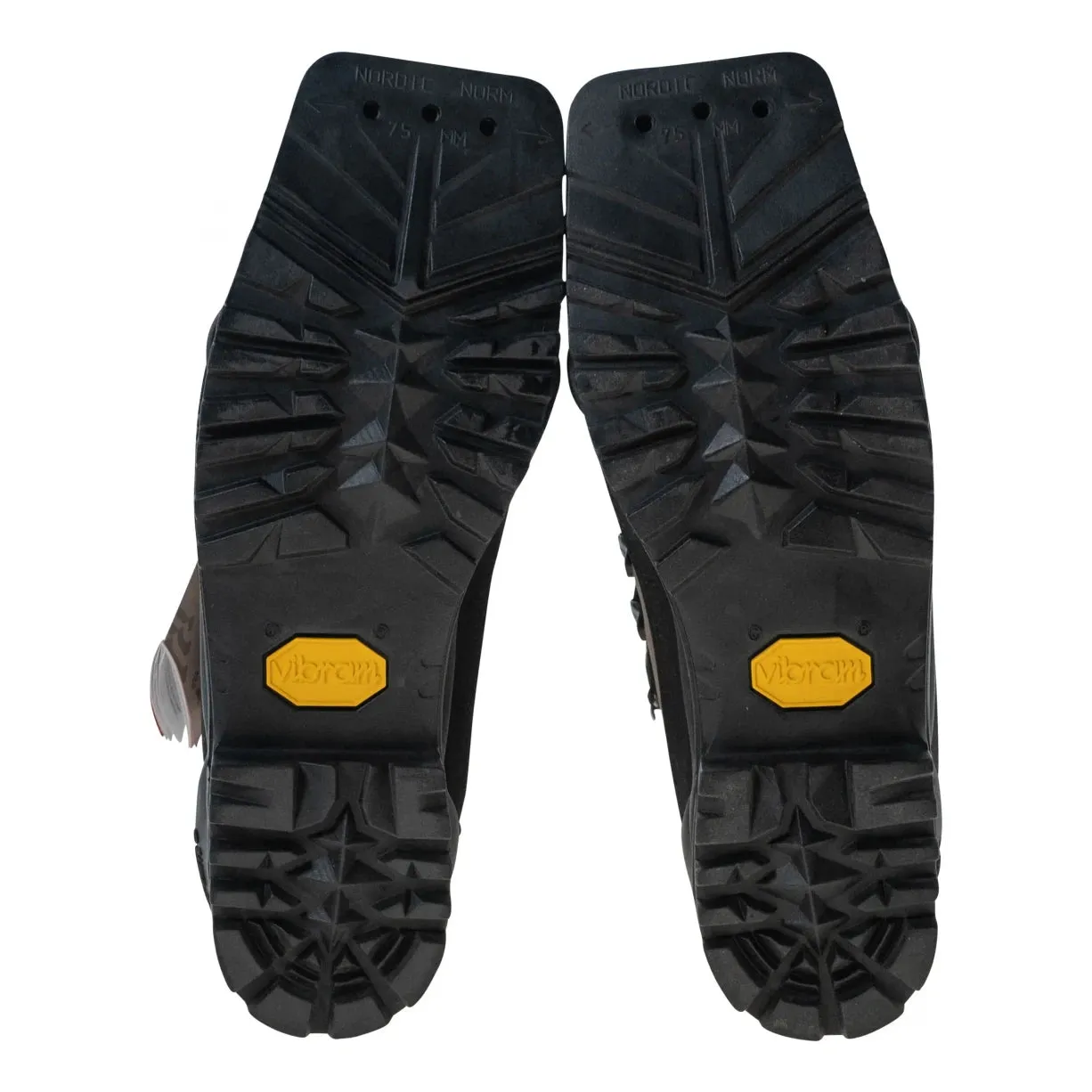 Alpina Montana 75 Cross Country Ski Boot