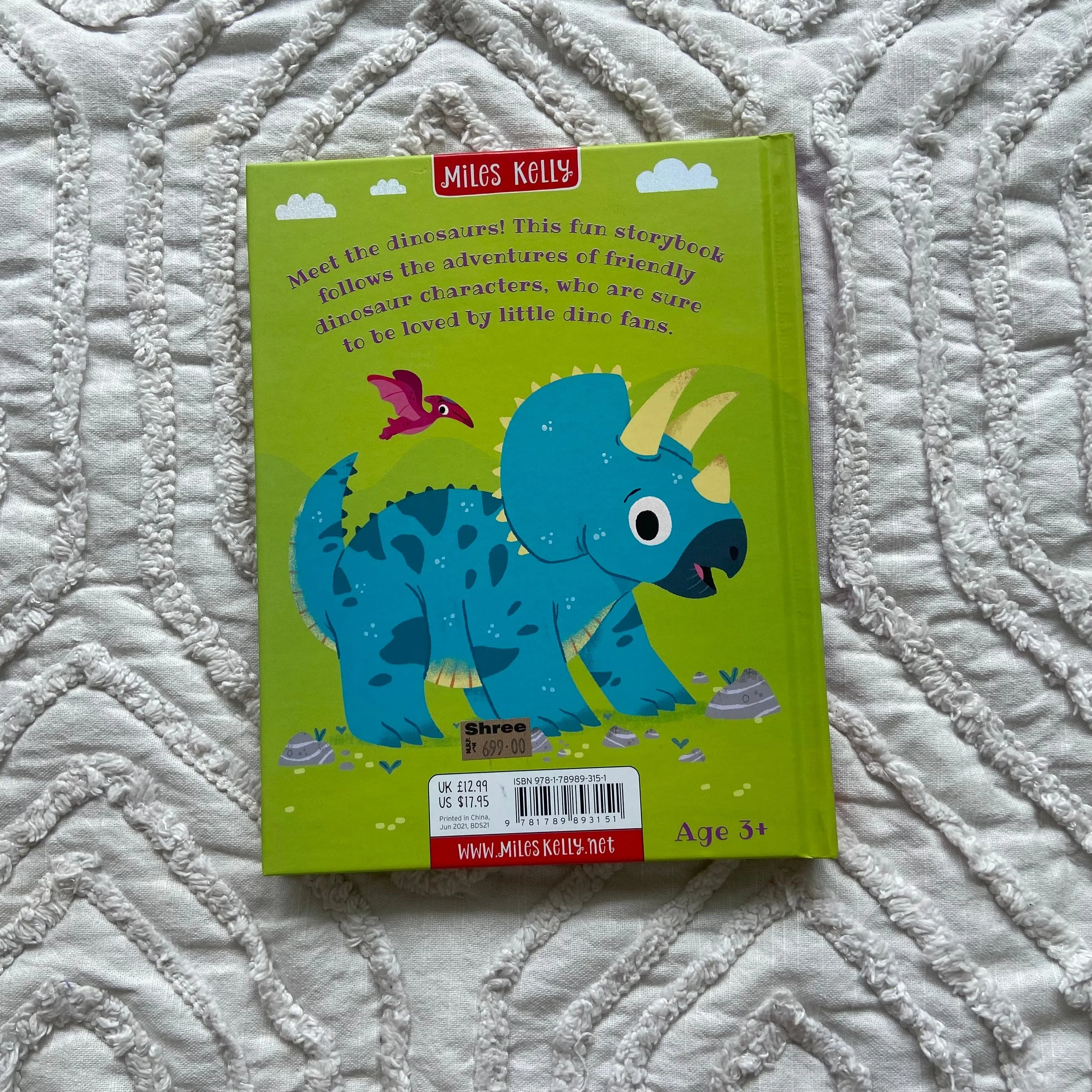 Dinosaur Stories Children's Book